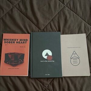 Set of Three Poetry Books by r.h. Sin
